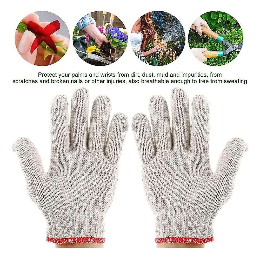 5-pack Seed Starter Tray Seedling Starter Kits, Plant Starter Kit