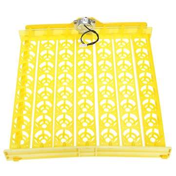 56 Incubator Automatic Eggs Turner Tray With Teching Equipment 220V Motor Farm Tool