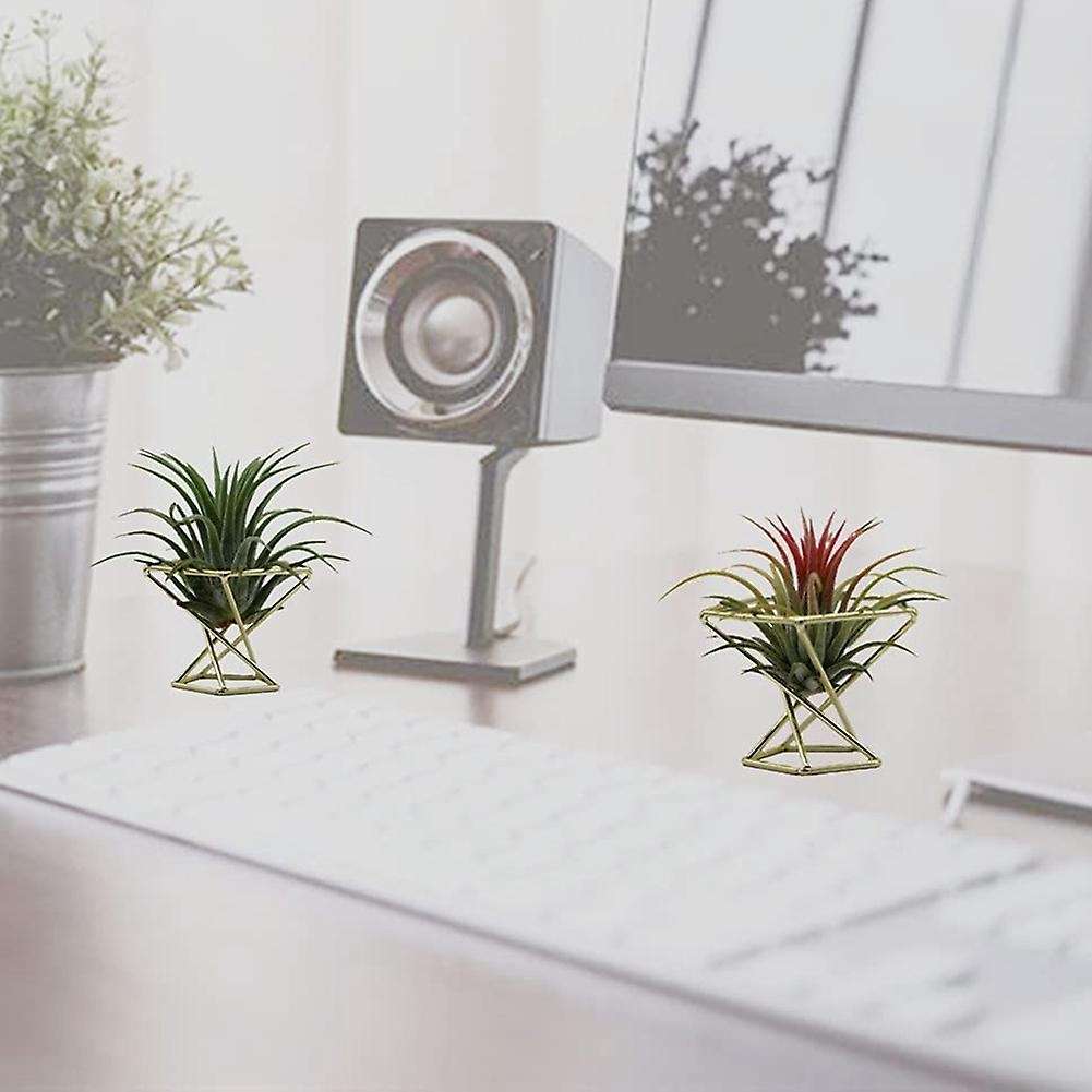 5 Pcs Geometric Air Plant Holder Airplants Rack Metal Plants Stand Planter Shelves Himmeli Decor Til