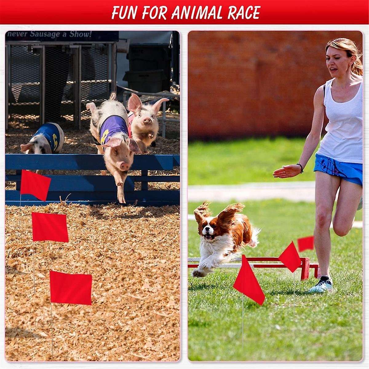 50Pack Marking Flags, Red Yard Flags 15x4x5Inch, Marker Flags, Lawn Flags Markers, Irrigation Flags,