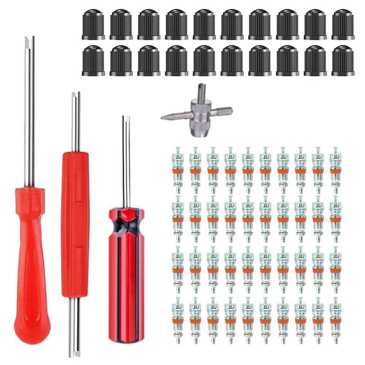 64-Piece Valve Core Removal Installation Kit Valve Core Removal Tool Valve Cap Valve.