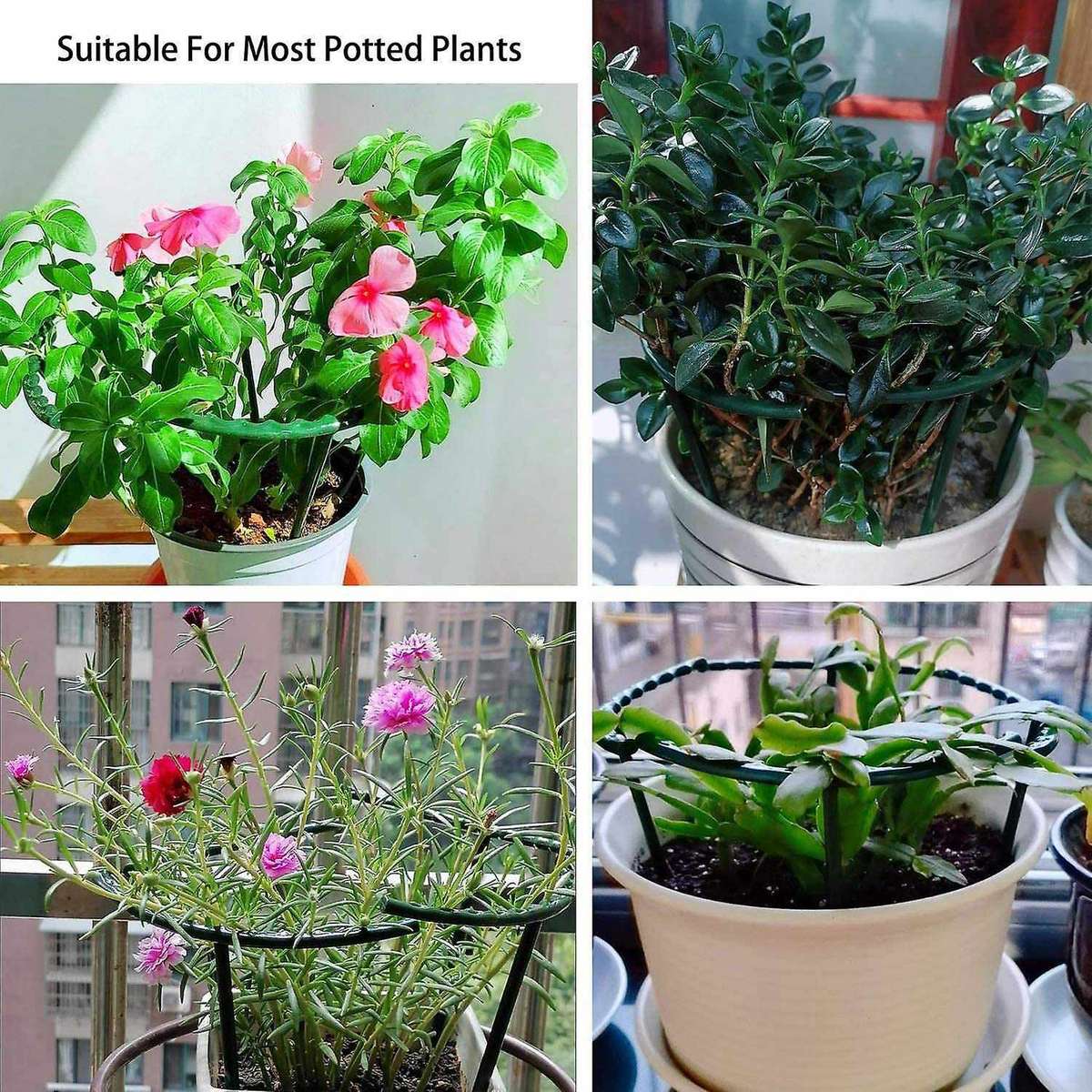 8PC Plant Support Pile, Garden Flower and Green Plant Support Ring, Flowerpot Support Ring, Suitabl