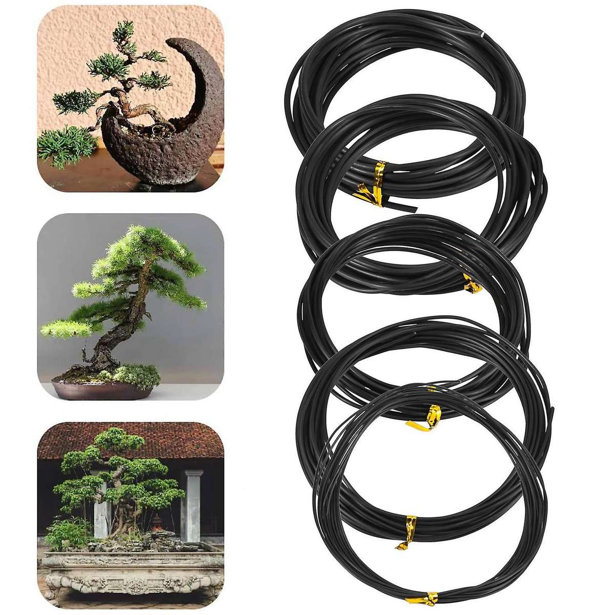 Anodized Aluminum Bonsai Training Wire 5-Size Set-1.0Mm,1.5Mm,2.0Mm,2.5Mm,3.0Mm(147 Feet Total)-Cho
