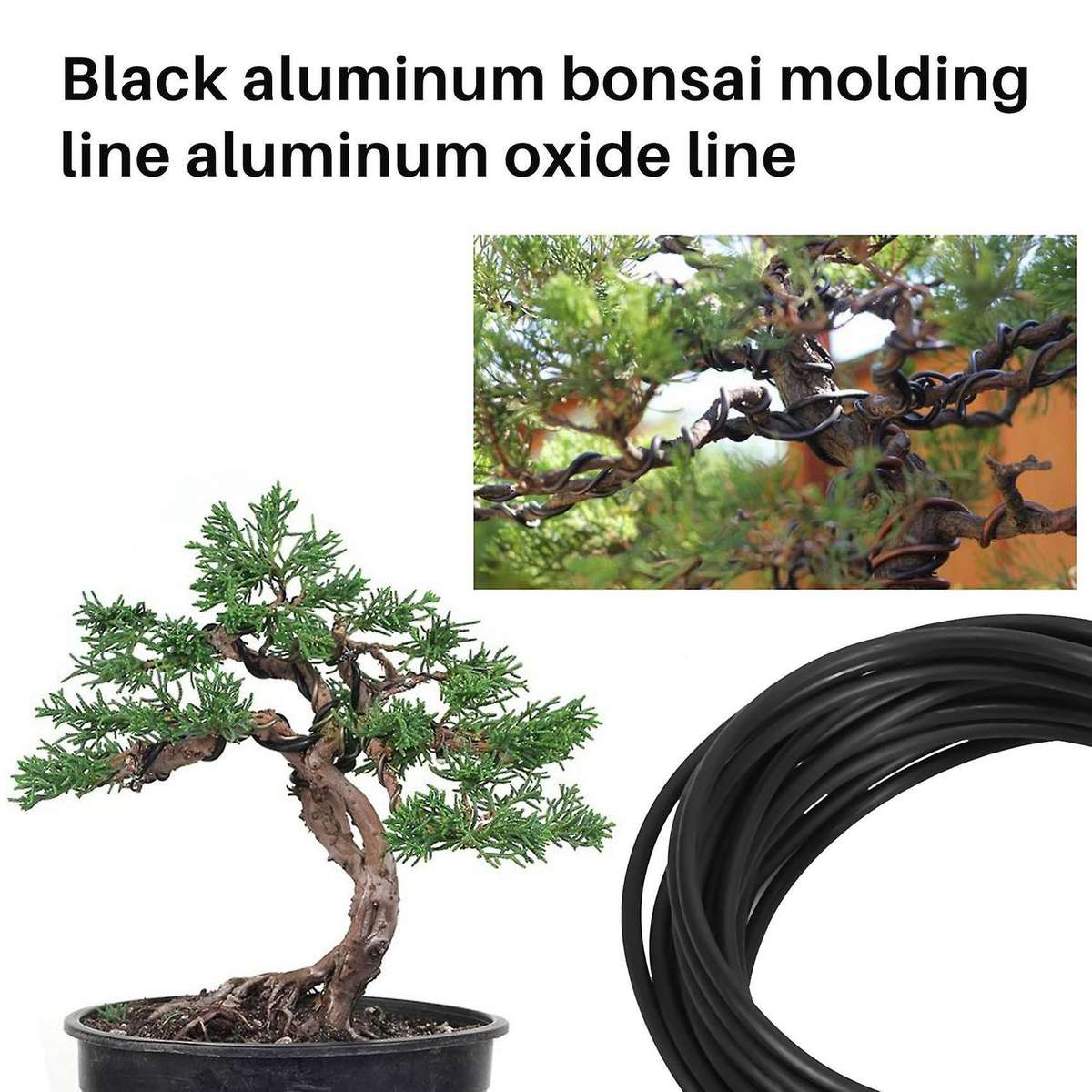 Anodized Aluminum Bonsai Training Wire 5-Size Set-1.0Mm,1.5Mm,2.0Mm,2.5Mm,3.0Mm(147 Feet Total)-Cho