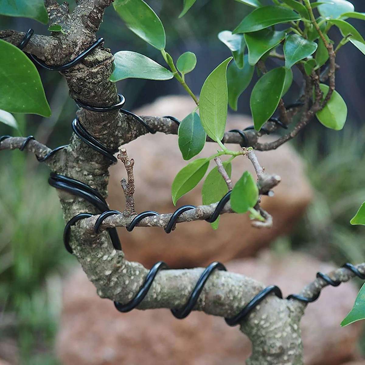 Anodized Aluminum Bonsai Training Wire 5-Size Set-1.0Mm,1.5Mm,2.0Mm,2.5Mm,3.0Mm(147 Feet Total)-Cho