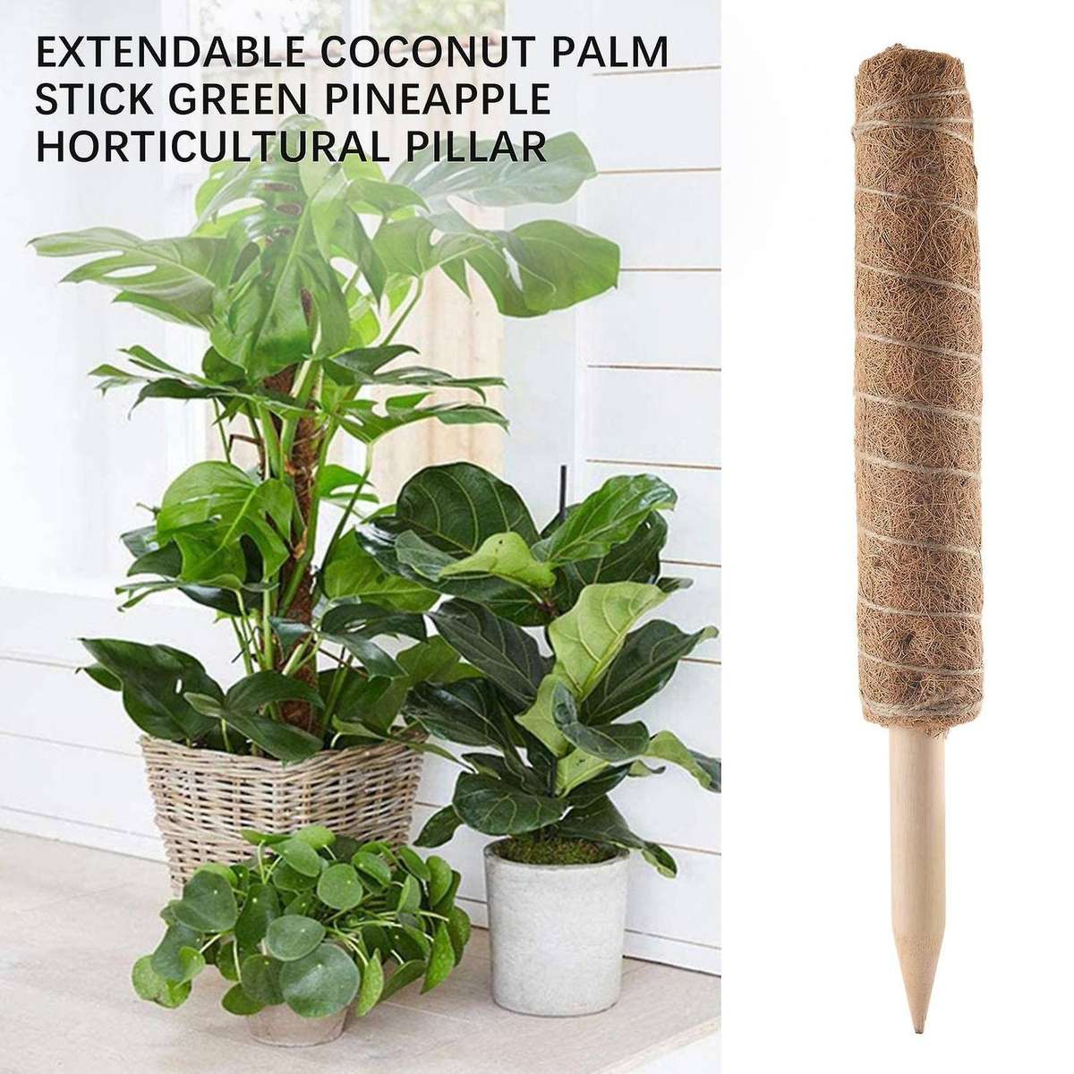 Moss Pole 40cm Moss Pole for Cheese Plant, Stackable Moss Stick and Ties, Coir Plant Support Indoor