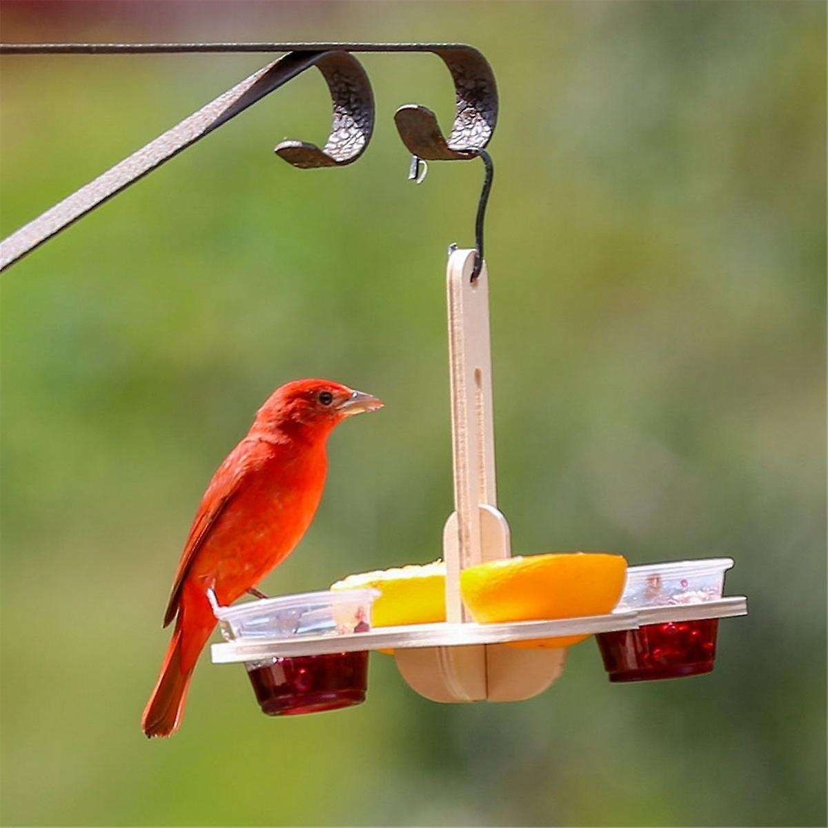 Oriole Bird Feeders for Outdoors, Jelly and Oranges Bird Feeder Outside Hanging