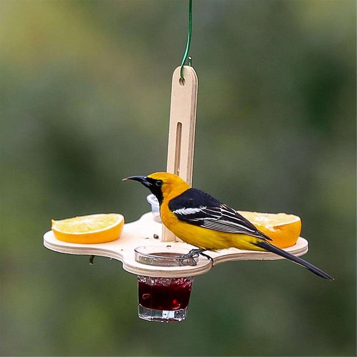Oriole Bird Feeders for Outdoors, Jelly and Oranges Bird Feeder Outside Hanging