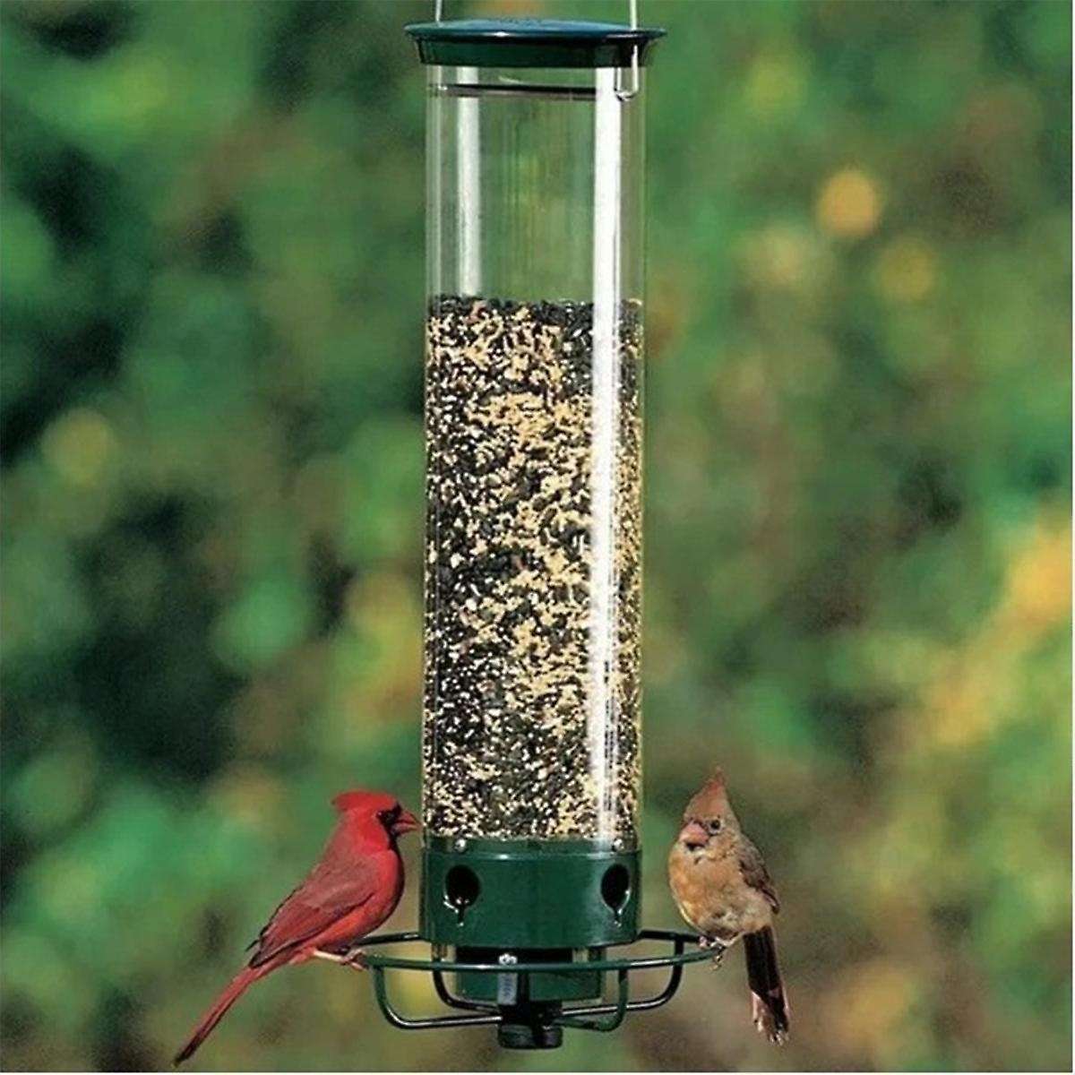 Proof Wild Bird Feeder with Weight Activated Rotating Perch - Seed Capacity