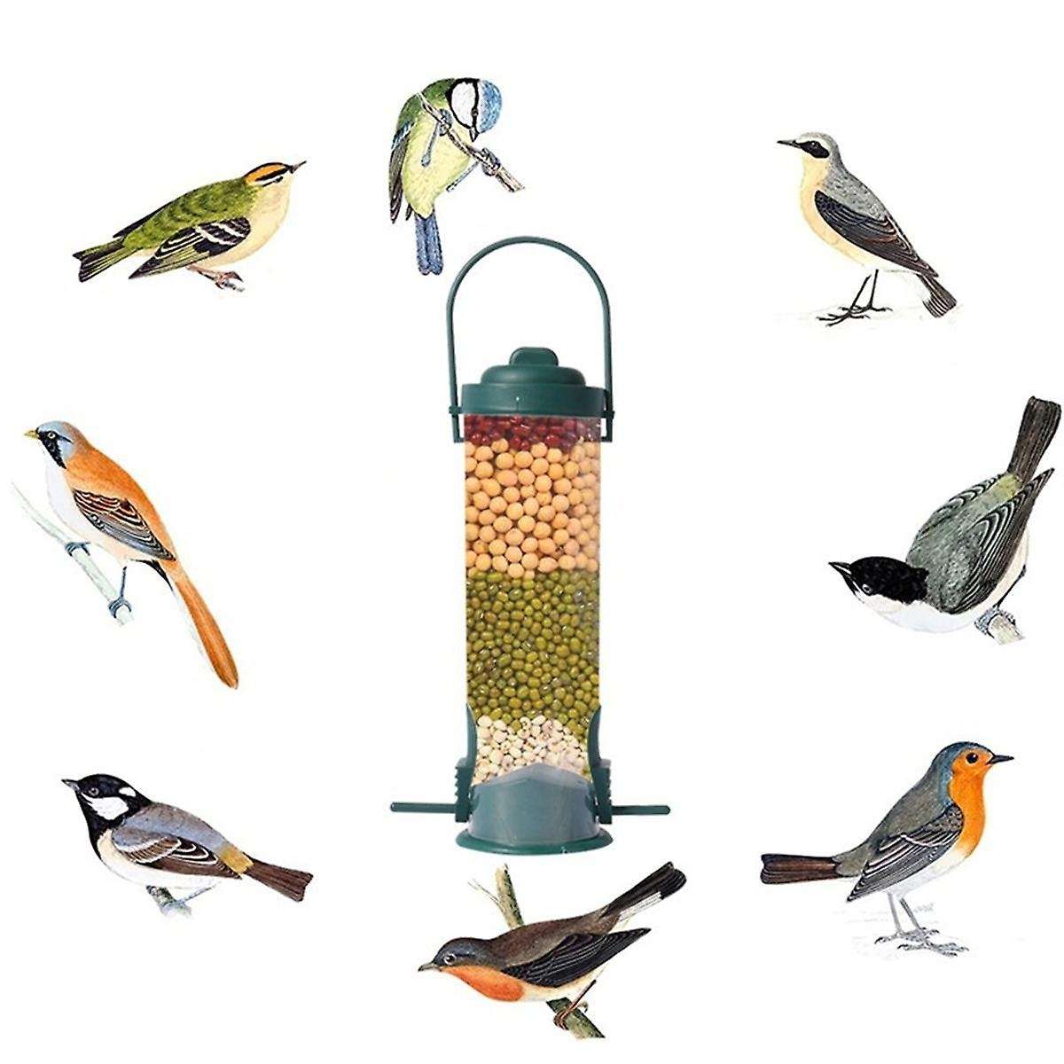 Proof Wild Bird Feeder with Weight Activated Rotating Perch - Seed Capacity