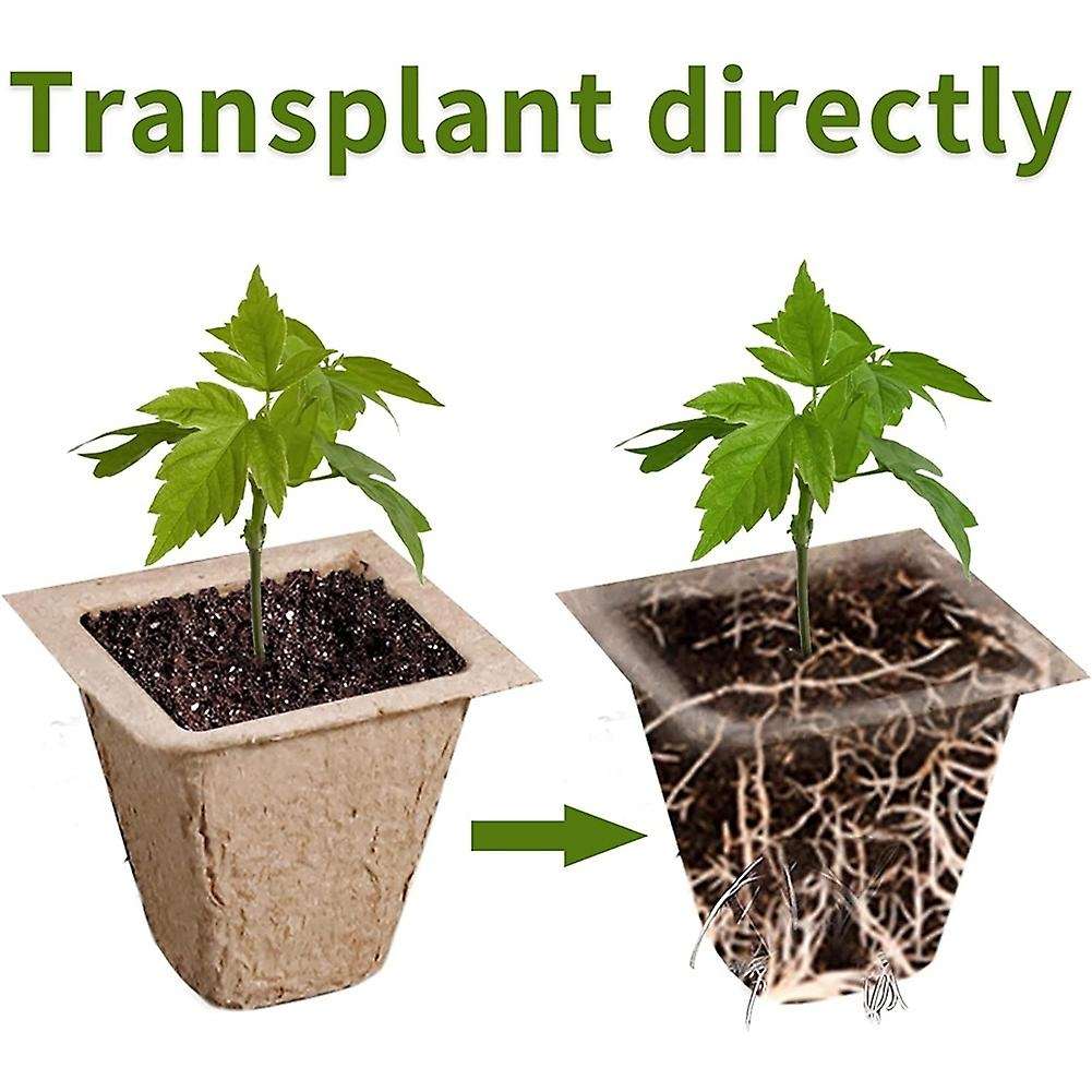 Square Propagation Pots for Plants, Seed Pot, Plant Growing Pots