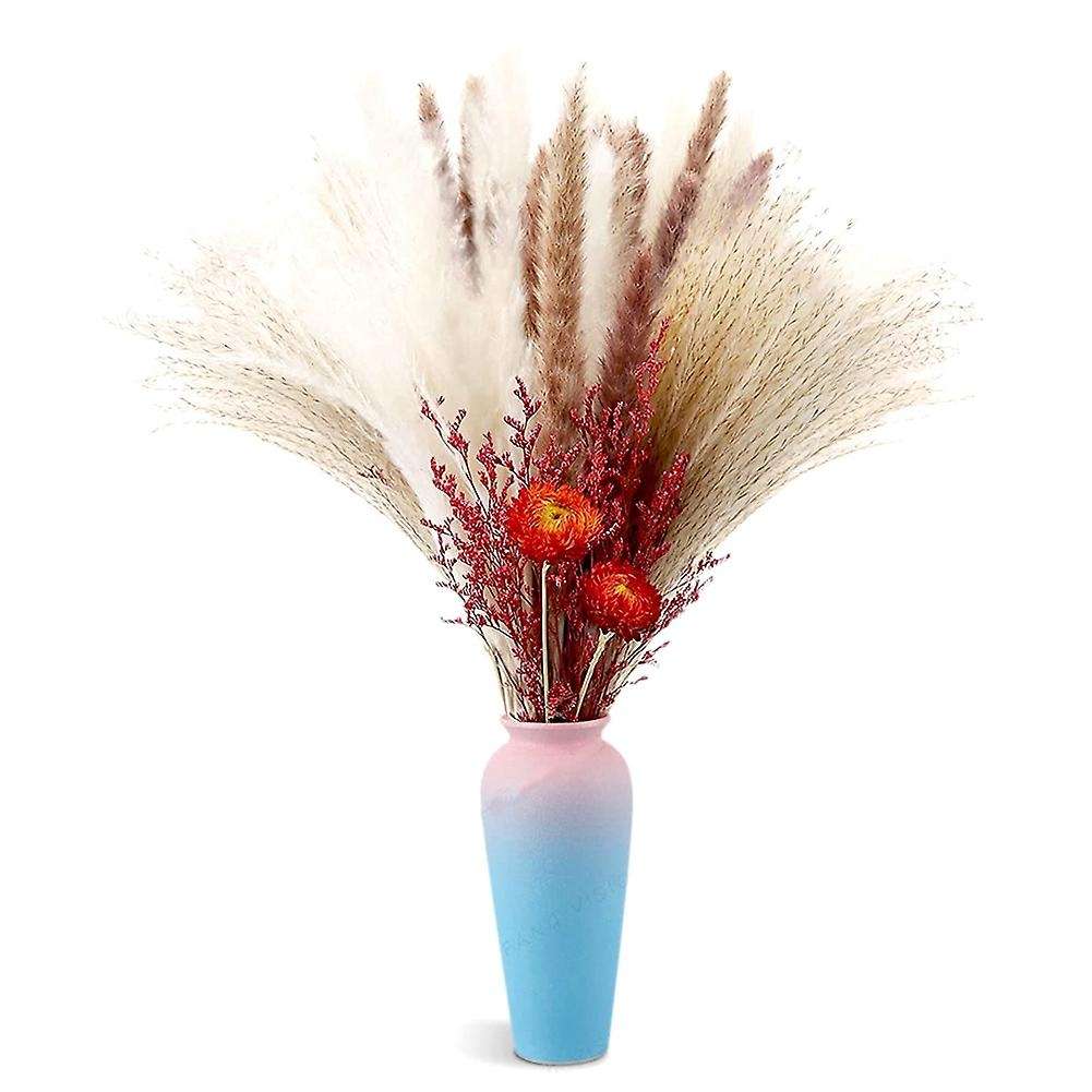 Natural Dried Pampas Grass,pampas Grass,reed,for Home Wedding Decor
