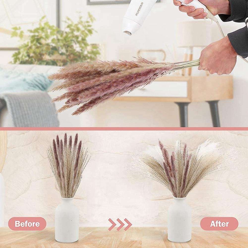 Natural Dried Pampas Grass,pampas Grass,reed,for Home Wedding Decor