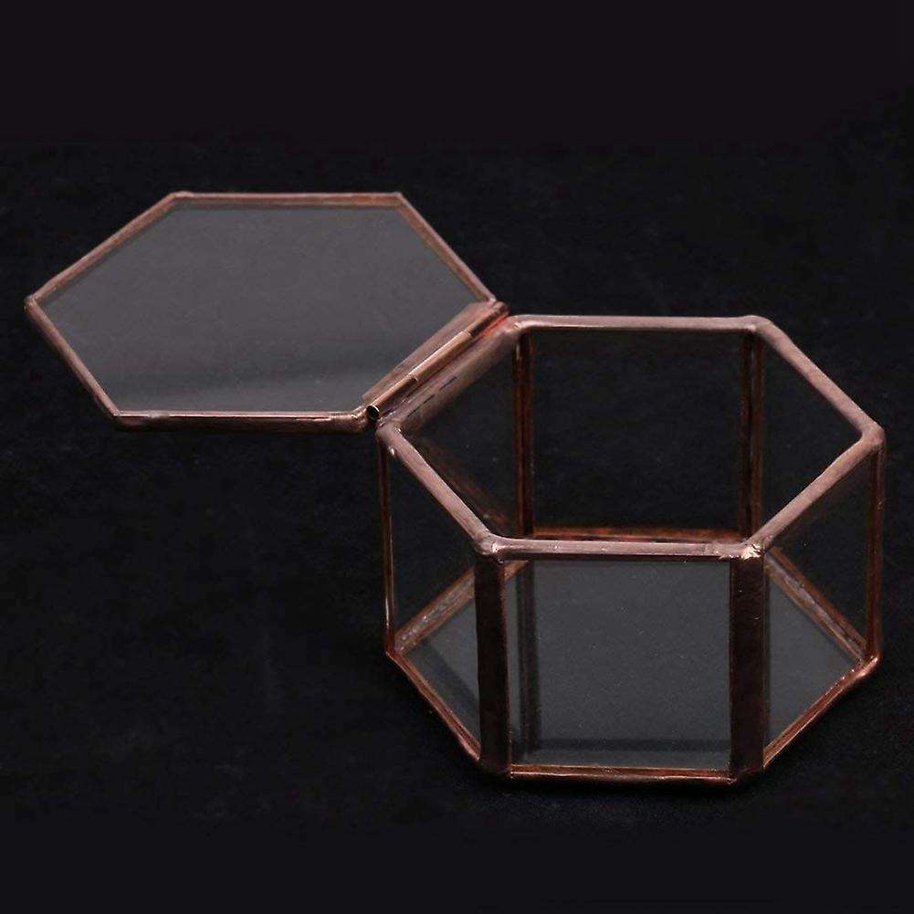 Geometrisches Glas Terrarium Schmuckschatulle Sukkulente Pflanzgef