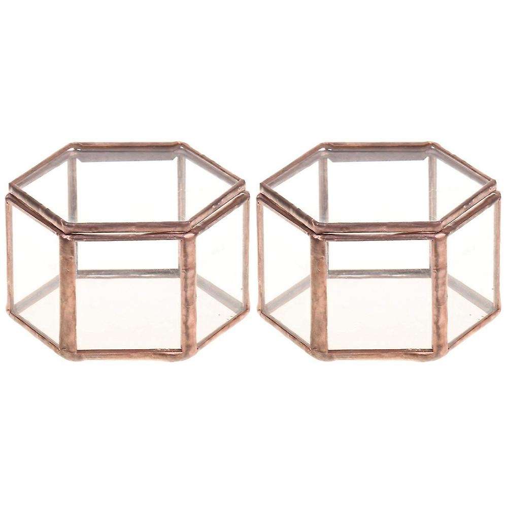 Geometrisches Glas Terrarium Schmuckschatulle Sukkulente Pflanzgef