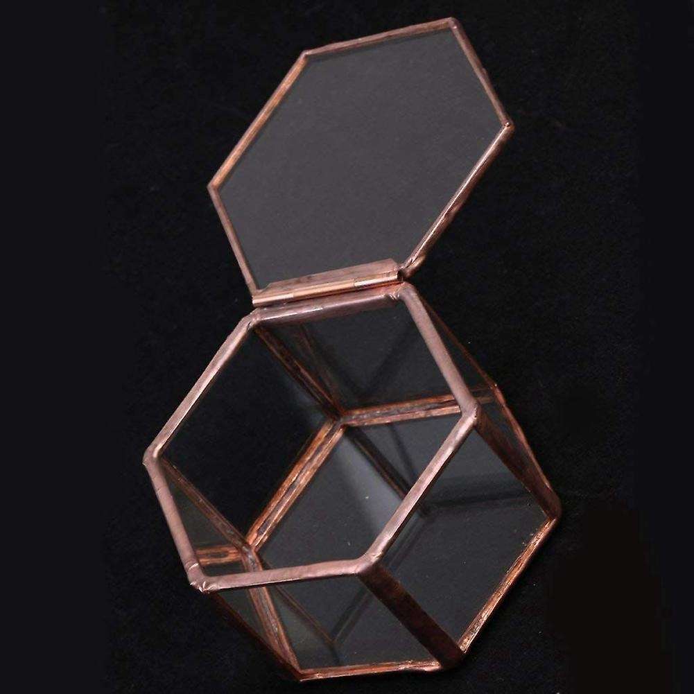 Geometrisches Glas Terrarium Schmuckschatulle Sukkulente Pflanzgef