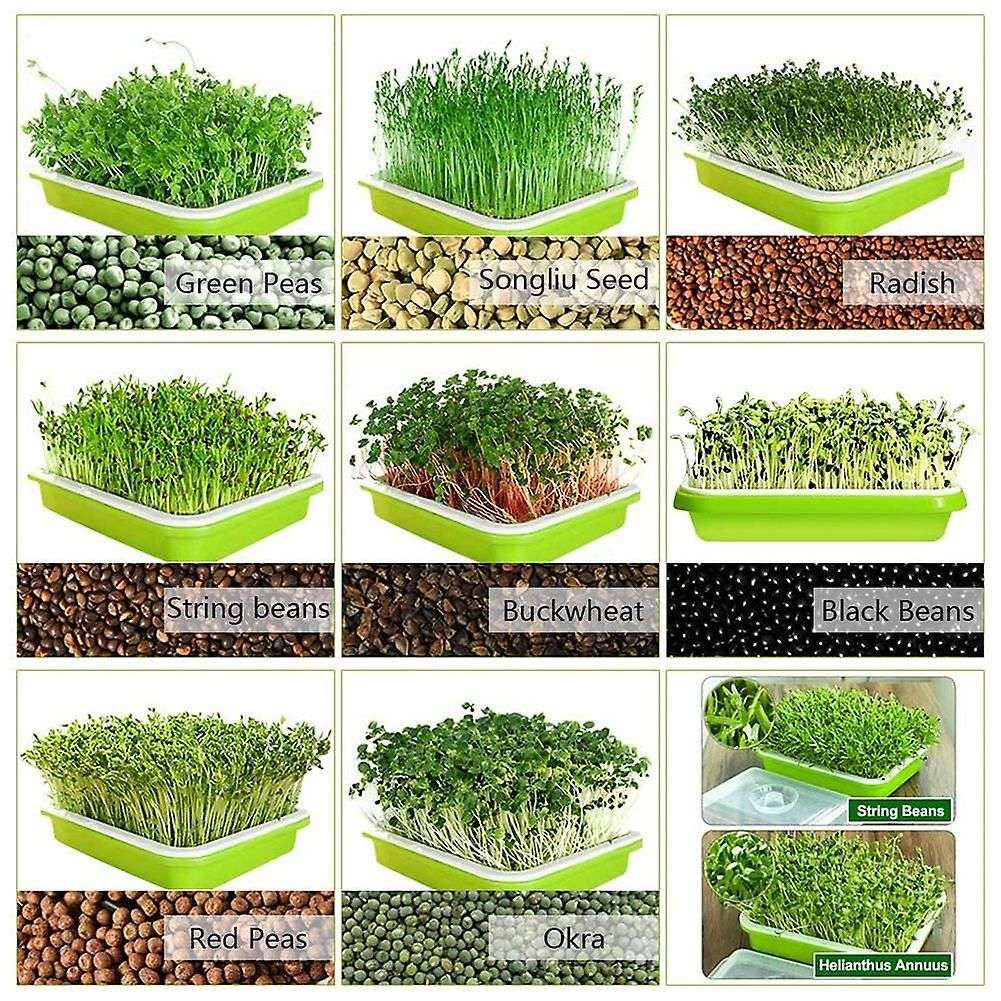 5pcs Seed Sprouter Tray Nursery Tray Seed Germination Tray