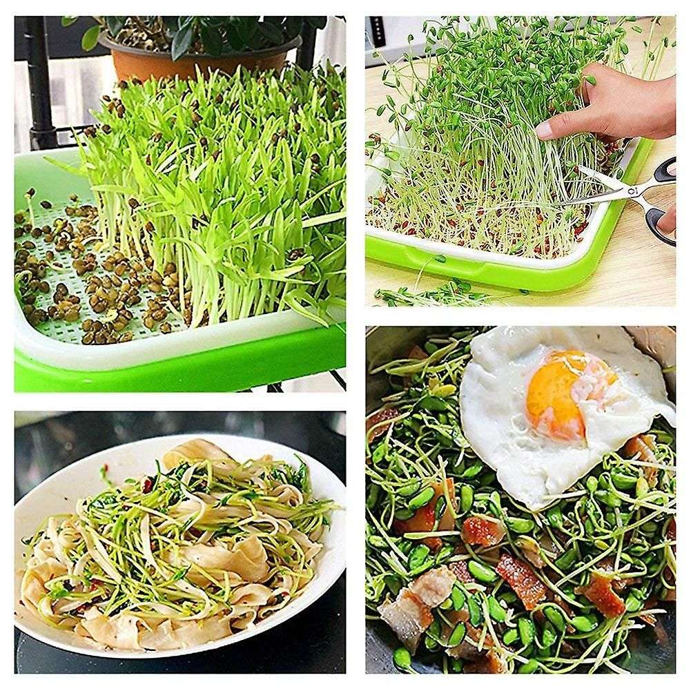 5pcs Seed Sprouter Tray Nursery Tray Seed Germination Tray