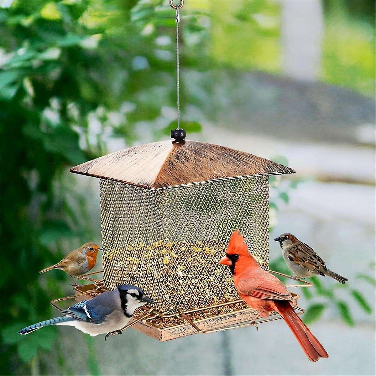 Bird Feeders for Outdoors Hanging - Large Capacity Heavy Duty Metal Squirrel Proof Wild Bird Feeders