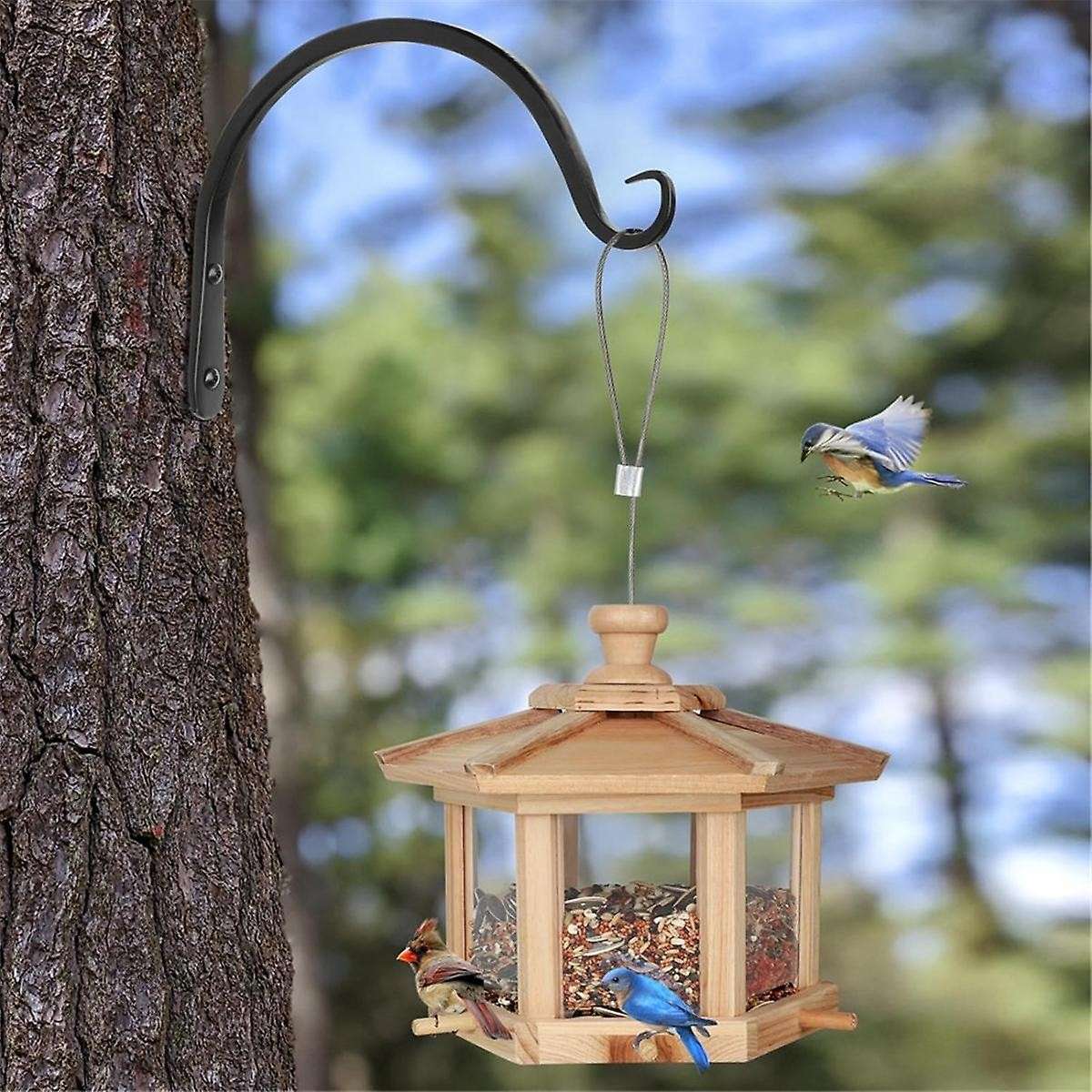 Black Curved Plant Hanging Hooks for Bird Feeders, Flower Baskets, Indoor & Outdoor Use