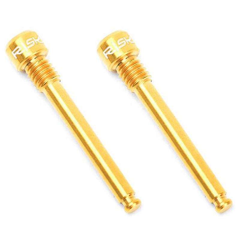 RISK 2Pcs Titanium Caliper Bolts Ultralight Bicycle Oil Disc Brake Pads Thread Pins for Hydraulic Di
