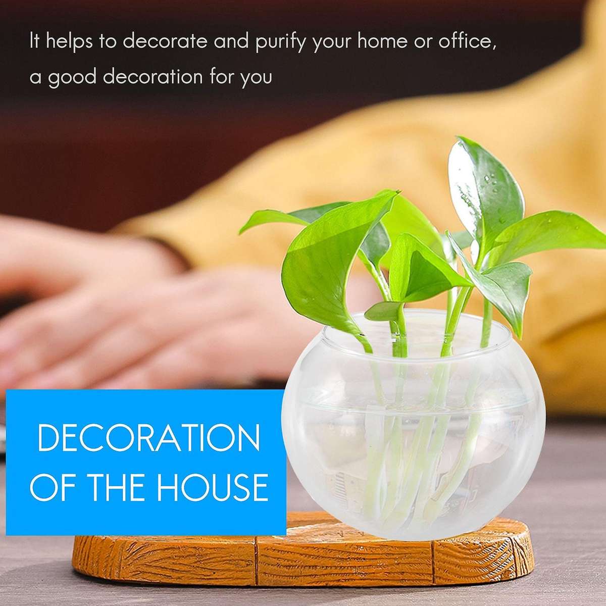 Round Sphere Vase In Transparent Glass Fish Tank