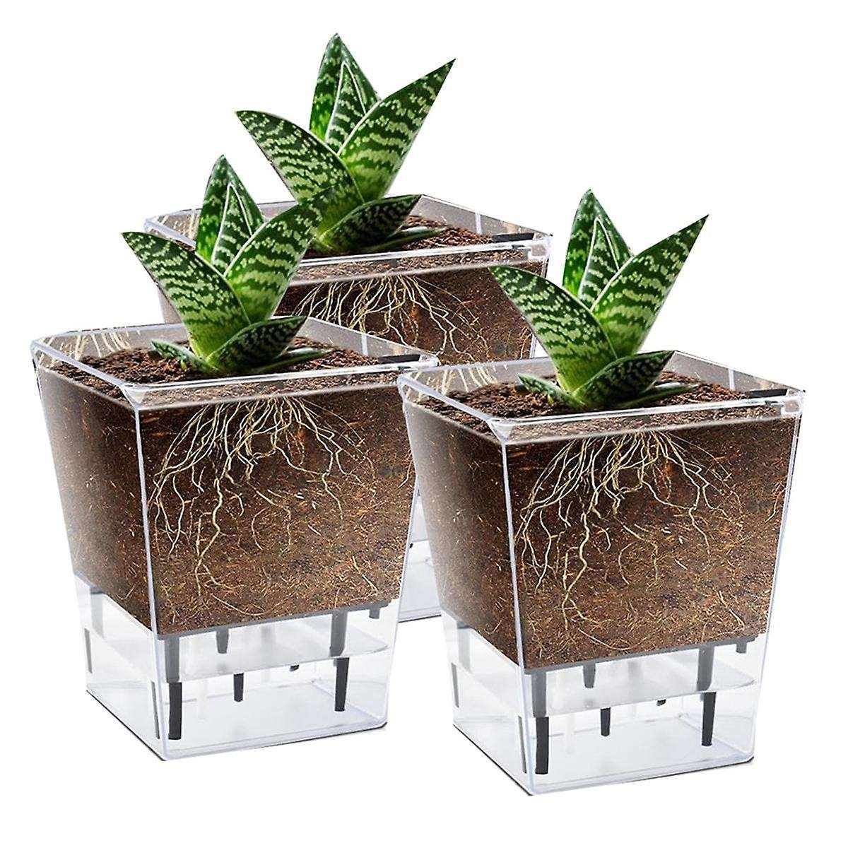 Self Watering Pots Set, 3 Pack 5 Inch Self Watering Pots for Indoor Plants, Clear Planter Pot with D