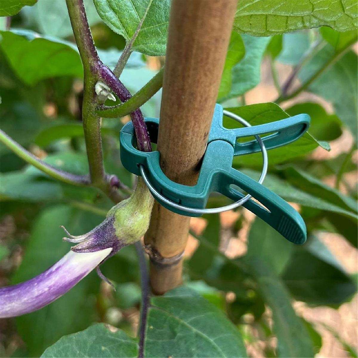 Small Botanical Garden Clip Set Plastic Clips for and Other Plants