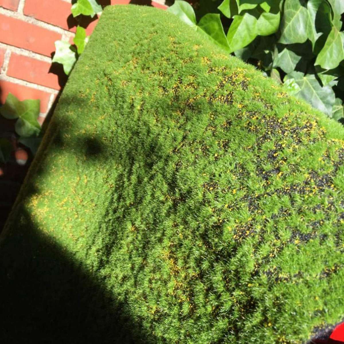 Artificial Moss Fake Green Plants Shop Home Patio Garden Decor