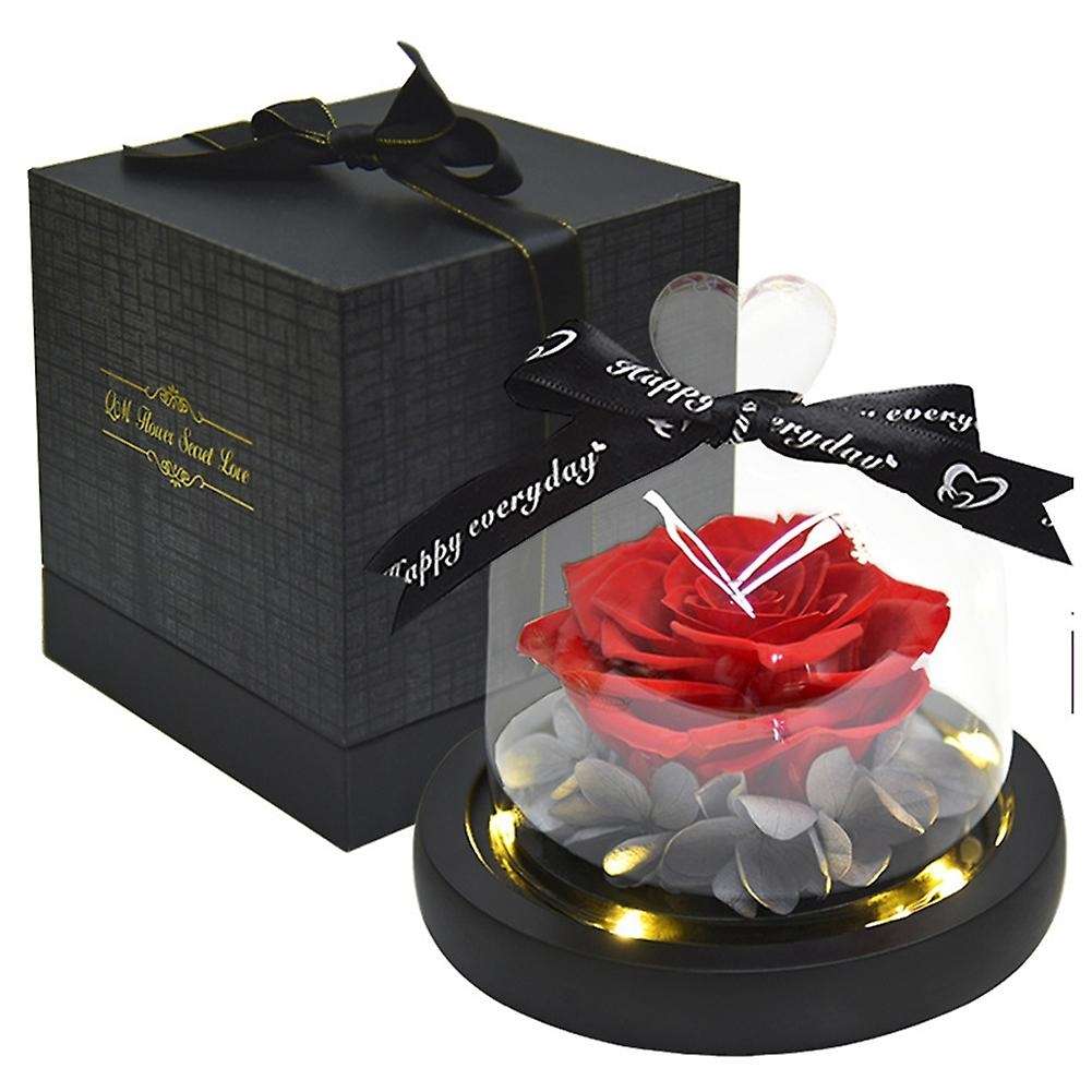 Beauty and The Beast Preserved Roses In Glass Forever Eternal Rose B