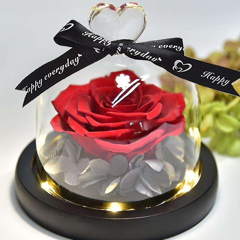 Beauty and The Beast Preserved Roses In Glass Forever Eternal Rose B