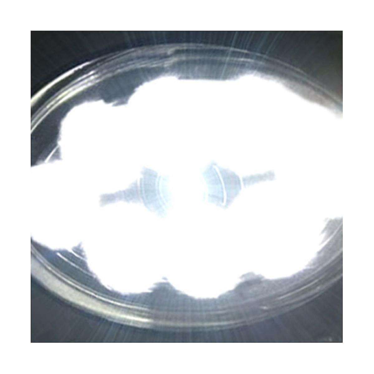 Car Led Spotlights 8 Beads 24w Work Lights Car Lights Maintenance Lights Car Supplies