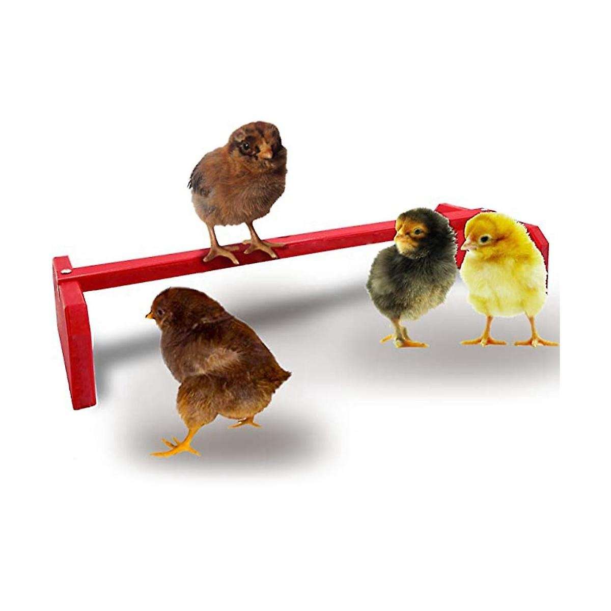 Chicken Roosting Bar Perch for Baby Chicken to Adult . Poultry Coops Or Run. Easy-clean Bird Stand