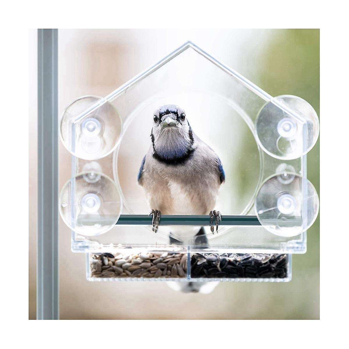Window Bird Feeders with Strong Suction Cups, Clear for Outside,bird House with 2 Compartment Remov