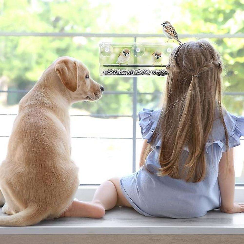 Window Bird Feeder, Wild Bird Feeder, Transparent Window Bird Feeder, Exquisite Bird Watching Gift