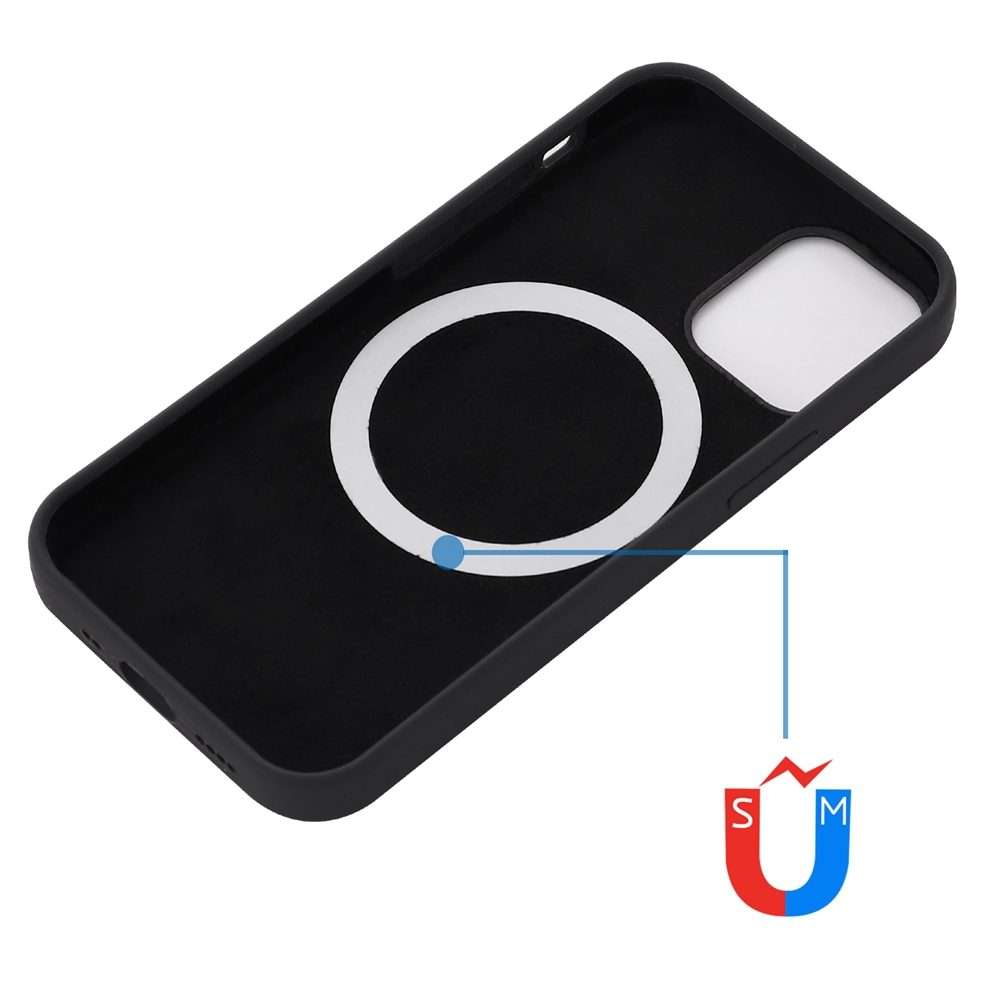 For iPhone 15 Pro Max Shockproof Silicone Magsafe Phone Case(Black)