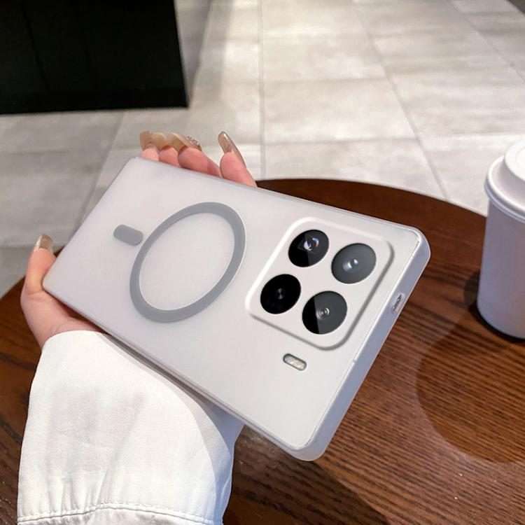 For Xiaomi 15 Pro Fine Hole Ice Fog MagSafe PC Phone Case(Titanium Grey)