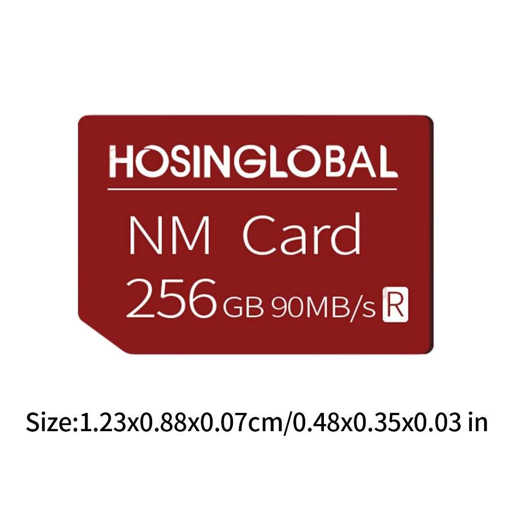 HOSINGLOBAL 90MB/s 256GB NM Card
