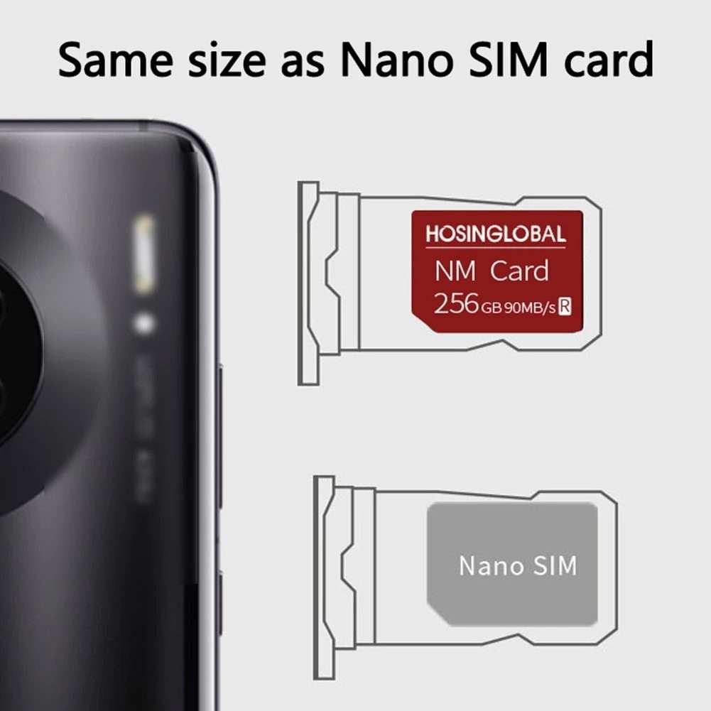 HOSINGLOBAL 90MB/s 256GB NM Card