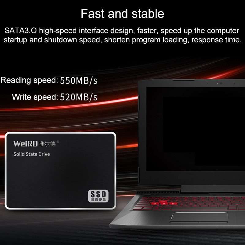 WEIRD S500 120GB 2.5 inch SATA3.0 Solid State Drive for Laptop, Desktop