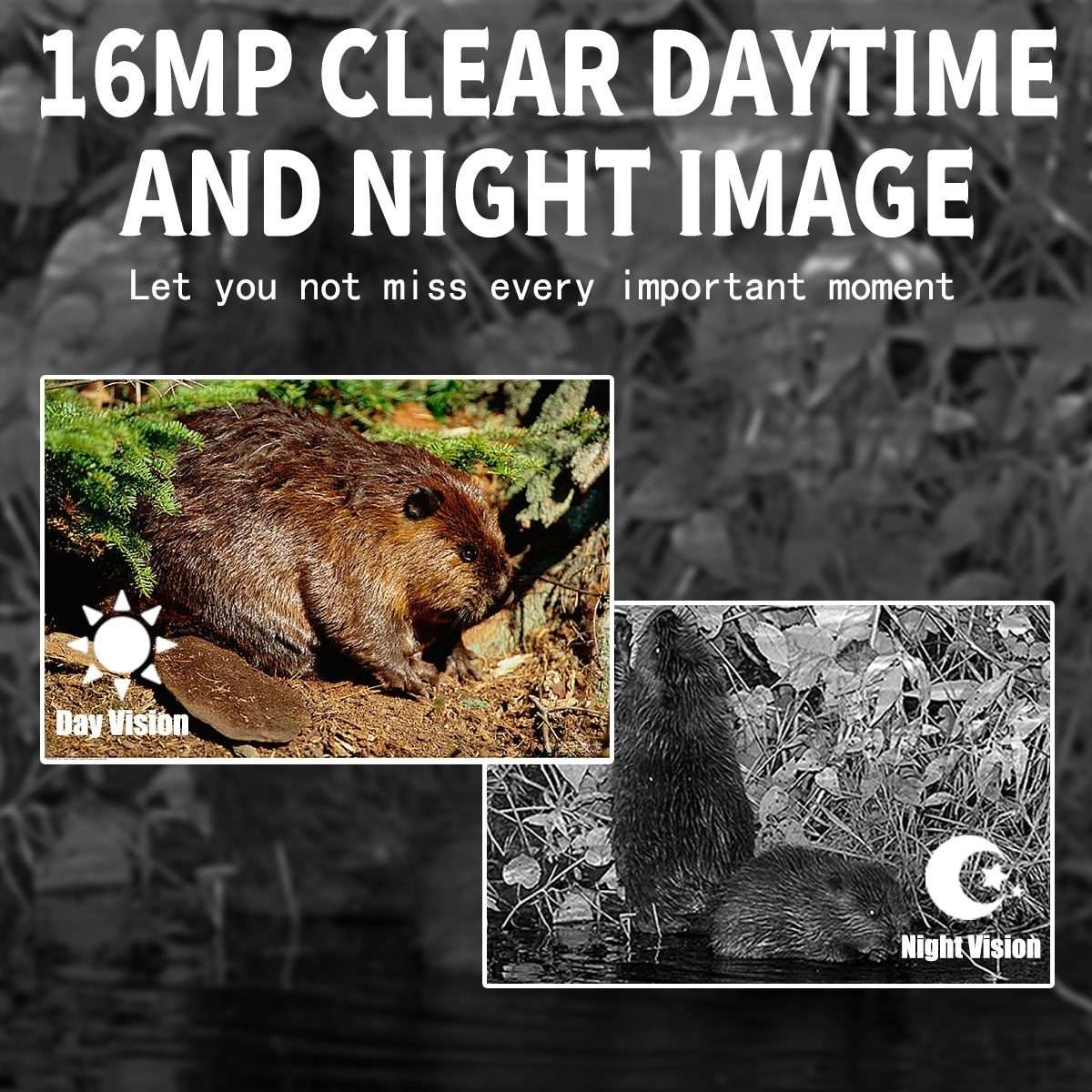 PR300 Outdoor Night Vision Hunting Tracking Camera 12MP Motion Activated