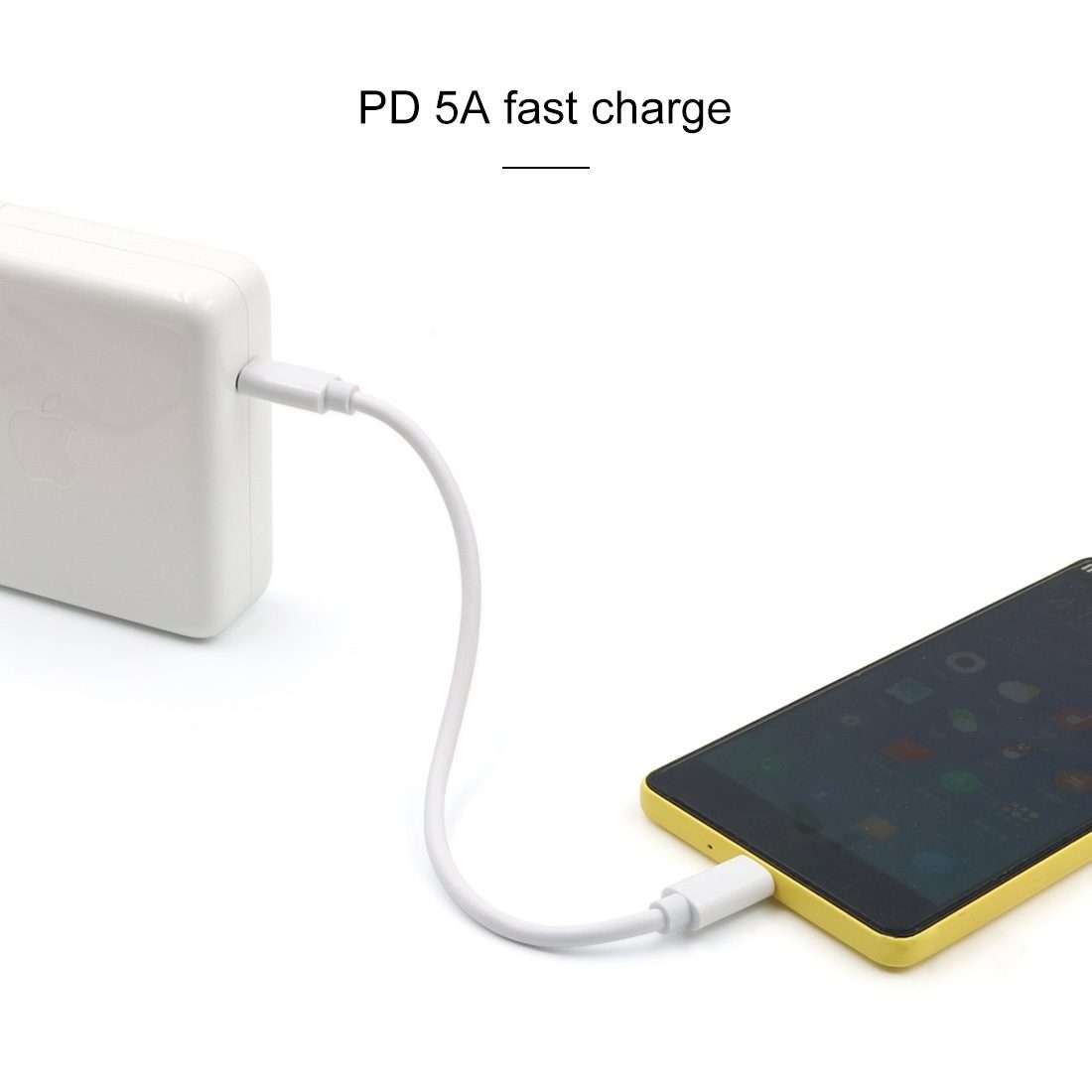 PD 5A USB-C / Type-C Male to USB-C / Type-C Male Fast Charging Cable, Cable Length: 2m (White)