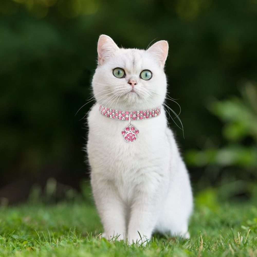 Pet Collar Diamond Elastic Cat And Dog Necklace Jewelry, Size:S(White)
