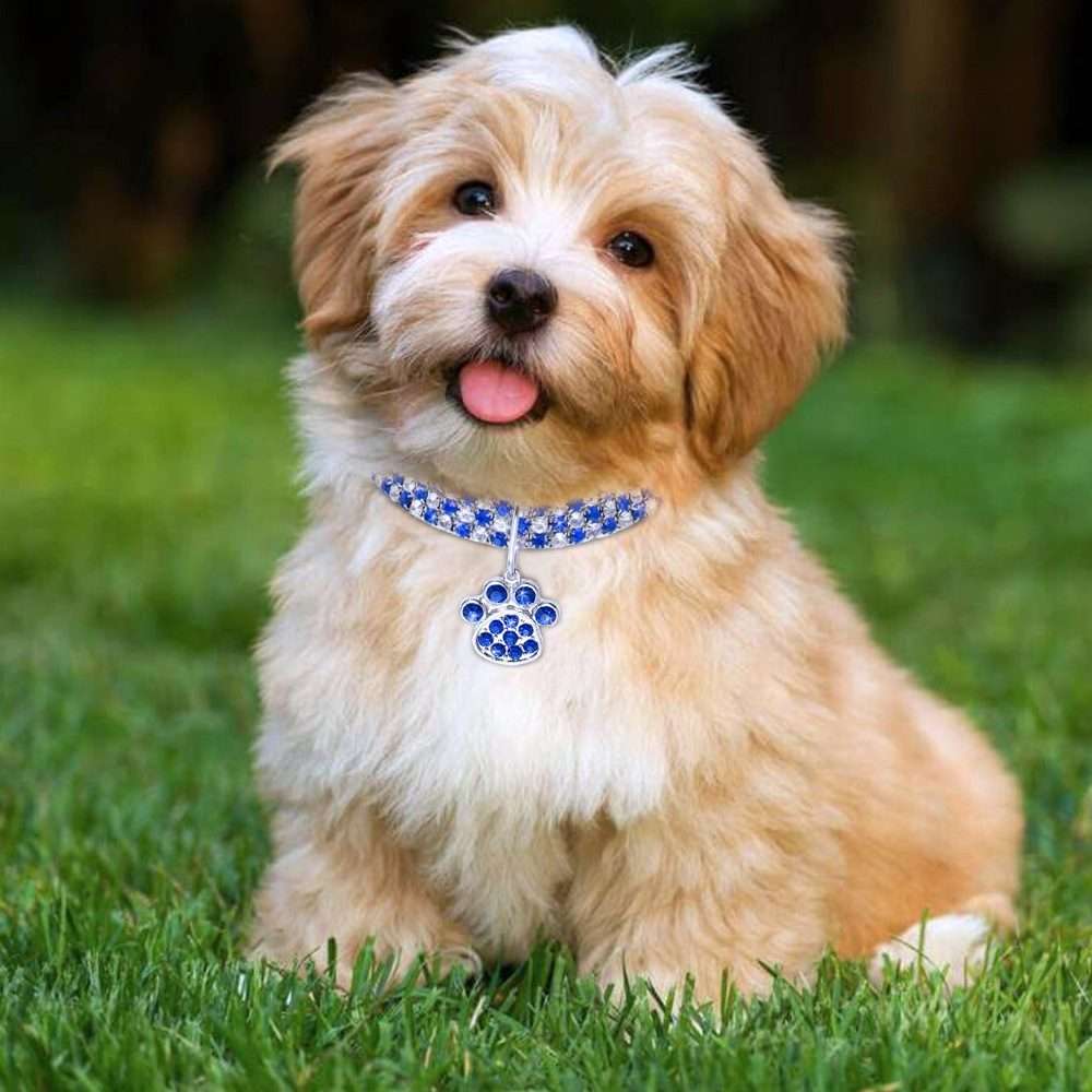 Pet Collar Diamond Elastic Cat And Dog Necklace Jewelry, Size:S(White)