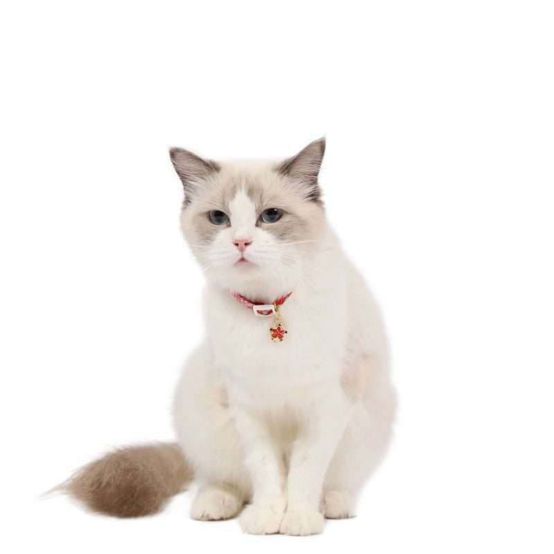 Adjustable Pet Flower Hollow Bell Collar Cat Dog Collar Accessories, Specification: S 1 ... (Pink)