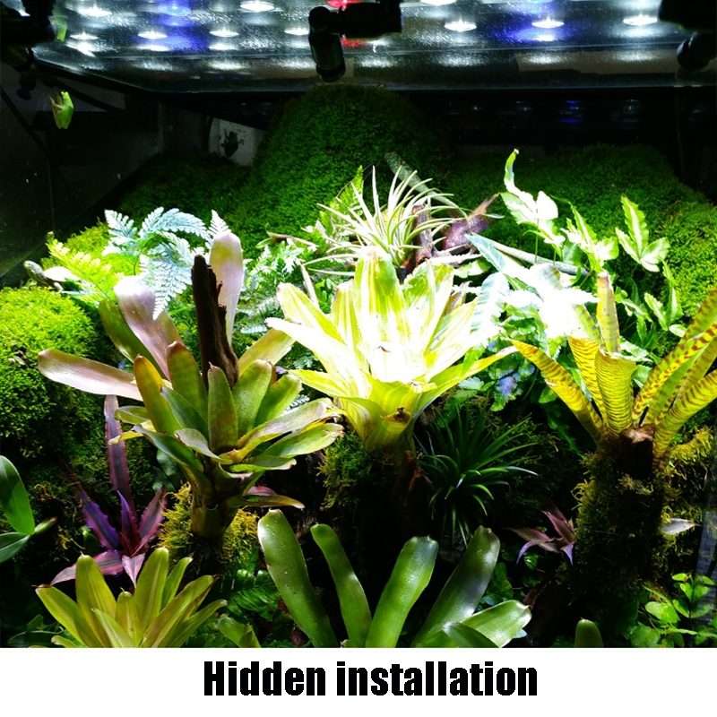 MS-PT03 Rainforest Tank Landscaping Climbing Pet Feeding Box Mini Spray Double-Head Atomization Co