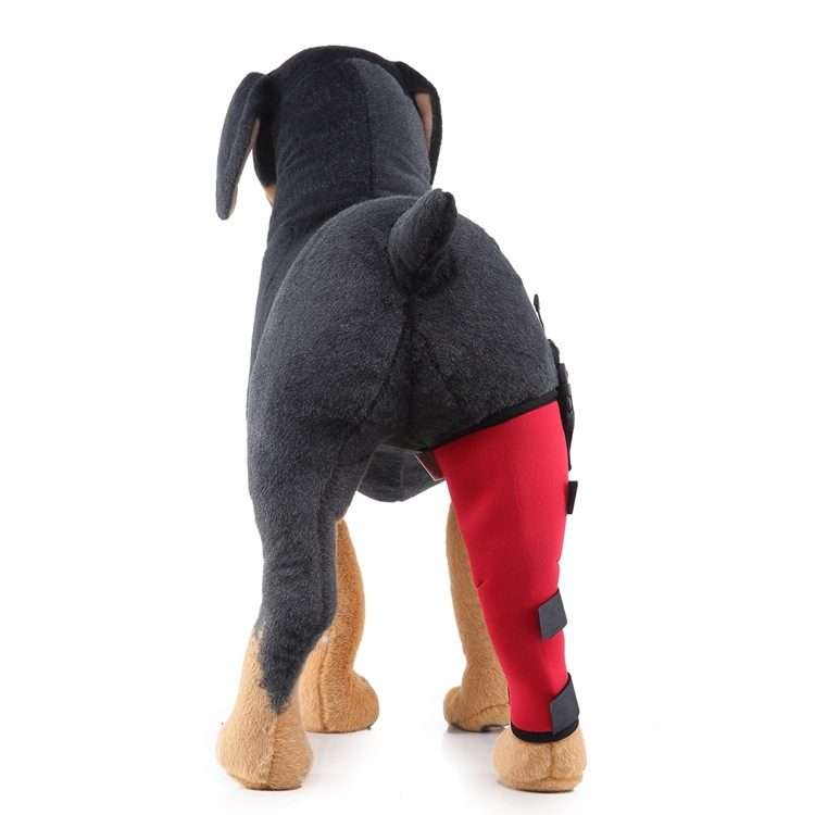 HJ19 Pet Surgery Rehabilitation Back Leg Protector Walking Aids, Size: S(Red Right Back Leg)