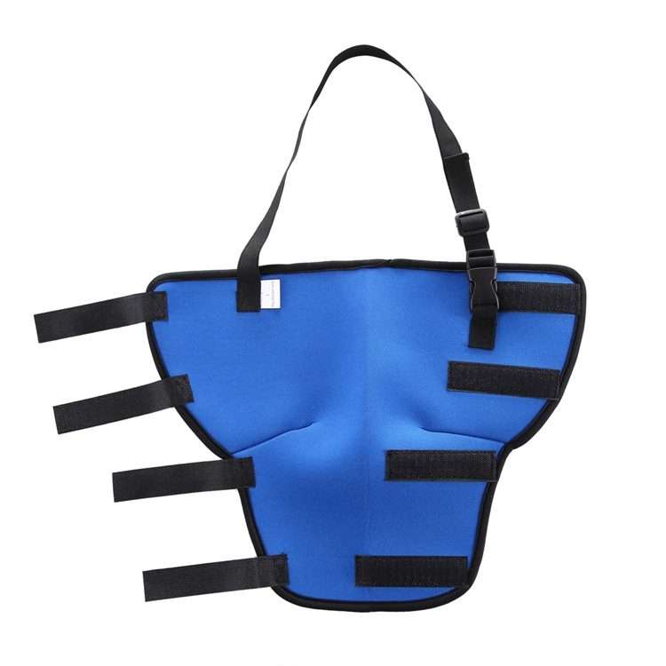 HJ19 Pet Surgery Rehabilitation Back Leg Protector Walking Aids, Size: S(Blue Right Back Leg)