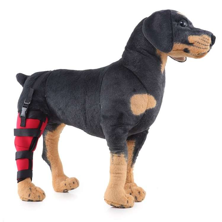 HJ19 Pet Surgery Rehabilitation Back Leg Protector Walking Aids, Size: M(Red Right Back Leg)
