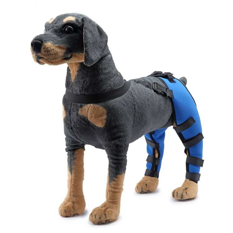 Pet Dog Leg Knee Guard Surgery Injury Protective Cover, Size: M(Blue)